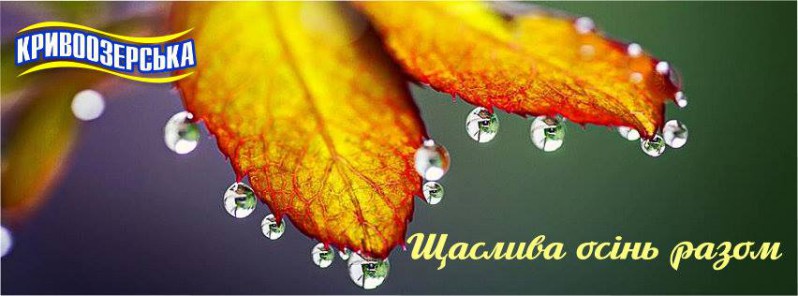 Прев'ю картинка для новини - Щаслива осінь разом з “Кривоозерською”!